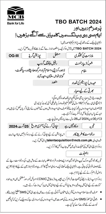 MCB OG 3 Jobs for Freshers 2024