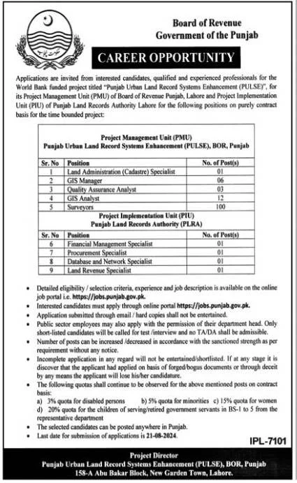 Board of Revenue Punjab Jobs 2024