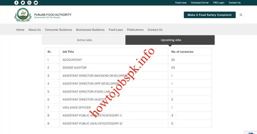 Punjab Food Authority Jobs 2024